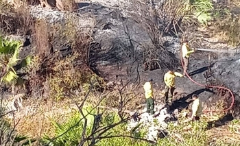 Dolor y bronca en Valle Fértil: el pueblo lamenta nuevos hechos de vandalismo