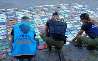 Desarticulan una banda que fabricaba patentes de autos falsas