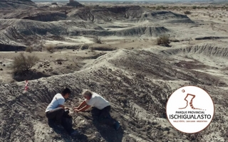 Descubren en Ischigualasto un dinosaurio bípedo y carnívoro de 230 millones de años