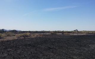 Fuego y viento: los bomberos de San Juan tuvieron 12 intervenciones en 24 horas