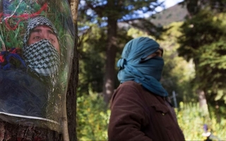 El Gobierno declaró terrorista al “mapuche de los binoculares”