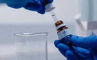 Aceite de cannabis medicinal sanjuanino: ya está autorizado para su venta en farmacias