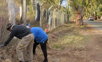 Realizan un operativo de limpieza en el Parque Sarmiento para evitar incendios