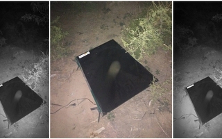 Un ladrón escapó sin el botín y en un rastrillaje recuperaron el televisor robado