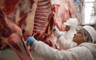 Trump anunció que comprará más carne argentina para bajar precios en EE.UU.