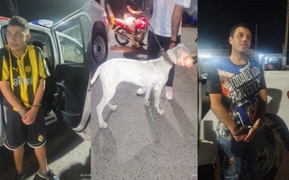 Detuvieron a dos hombres por robar un perro en Rawson