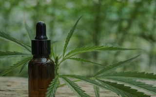 A una semana del anuncio, las consultas por aceite de cannabis son bajas en San Juan