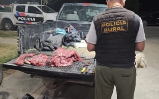 Detuvieron a cuatro personas en Albardón por tener 20 kg de carne de guanaco