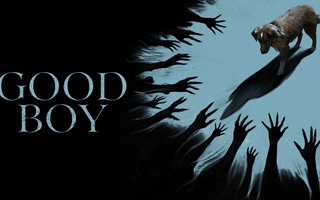"Good Boy": de qué trata la película de terror donde un perro ve espíritus malignos
