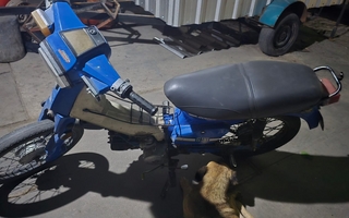 Ladrón enyesado fue atrapado robando una moto