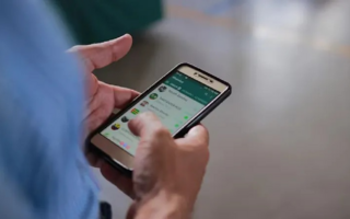 Elecciones legislativas: cómo consultar dónde voto por WhatsApp 