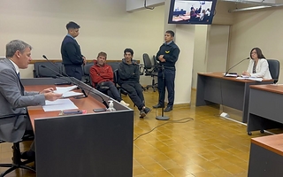 Al penal por robar los surtidores de los patios de las casas de dos barrios