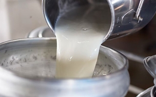 La leche perdió fuerza: los tambos necesitan cada vez más litros para cubrir sus costos