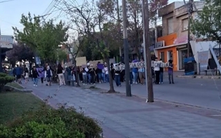 Una chica sobrevivió a un intento de femicidio tras fingir su muerte