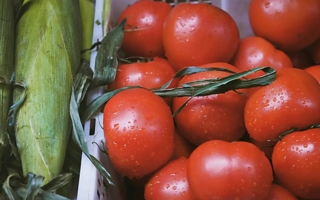 Qué sembrar en octubre: tres verduras que crecen en pocas semanas