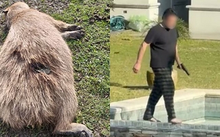El hombre que quedó en el centro de la investigación por dispararle a carpinchos