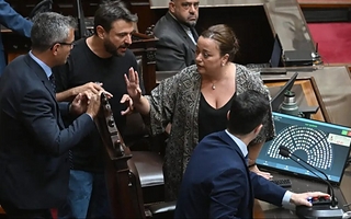 Una diputada libertaria quiere descontar el sueldo a quienes insulten en el Congreso