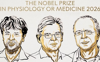 El Nobel de Medicina fue para tres científicos que lograron controlar neuronas con luz