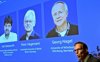 Quiénes son los científicos que ganaron el Nobel de Medicina y qué descubrieron