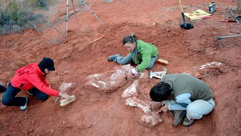 Caucete se suma al proyecto de la Ruta de los Dinosaurios Caucete se suma al proyecto de la Ruta de los Dinosaurios