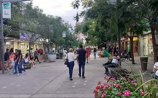 Feriado 12 de octubre: qué pasará con comercios y colectivos en San Juan