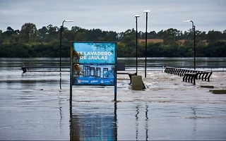 La crecida del Río Uruguay deja en alta vulnerabilidad a Entre Ríos y Corrientes
