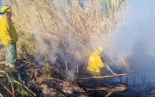 Un incendio de pasturas amenazó una vivienda en Albardón
