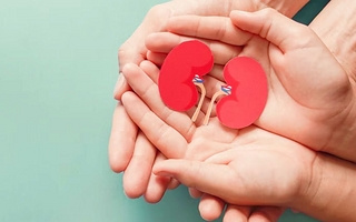Donar órganos puede salvar vidas y derribar mitos en Argentina