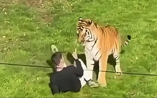 El padre del joven que murió tras entrar a la jaula de un tigre reveló qué padecía