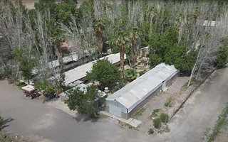 Invasión de moscas en Santa Lucía: cómo actúa la Justicia de Faltas