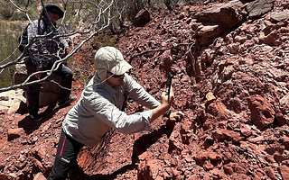 Equipos científicos inician la expedición paleontológica en La Ciénaga