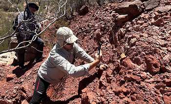 Equipos científicos inician la expedición paleontológica en La Ciénaga
