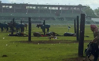 Un rayo mató a cuatro yeguas de polo en el Jockey Club de San Isidro