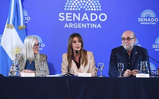 Presentaron proyectos de cierre de mina en el Senado