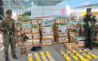 Comienza el juicio por los 64 kilos de cocaína secuestrados en Rawson