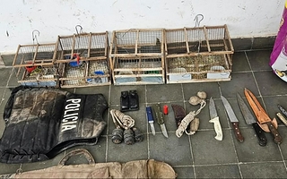 Secuestraron carne de guanaco y aves silvestres durante allanamientos en Albardón