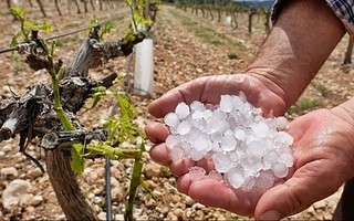 El Gobierno acompañará a productores ante El Niño y activará ayudas económicas
