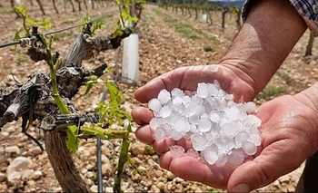 El Gobierno acompañará a productores ante El Niño y activará ayudas económicas