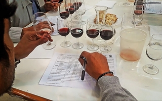 San Juan se quedó con cuatro de los cinco Gran Oro de la Cata Nacional de Vinos