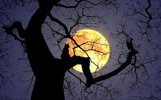 Luna del Cazador en octubre: origen, significado y por qué se llama así
