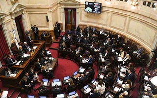 El Senado debatirá cambios en salud mental e incentivos para inversiones