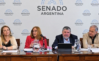 En el Senado, el PJ insistirá con la restitución de Zona Fría