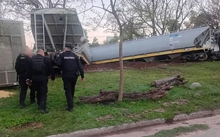 Descarriló un tren de cargas en Santa Fe y varios vagones volcaron