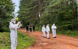  Hallaron asesinada a una pareja en Misiones y su hijo de 2 años estaba vivo en el auto