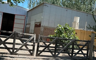 Ambiente confirmó el plan de retiro y traslado de la avícola de Santa Lucía
