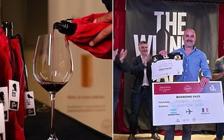 San Juan fue distinguido entre los mejores vinos argentinos de 2026