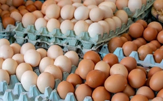 Presentaron un proyecto para cambiar el etiquetado de huevos: qué propone