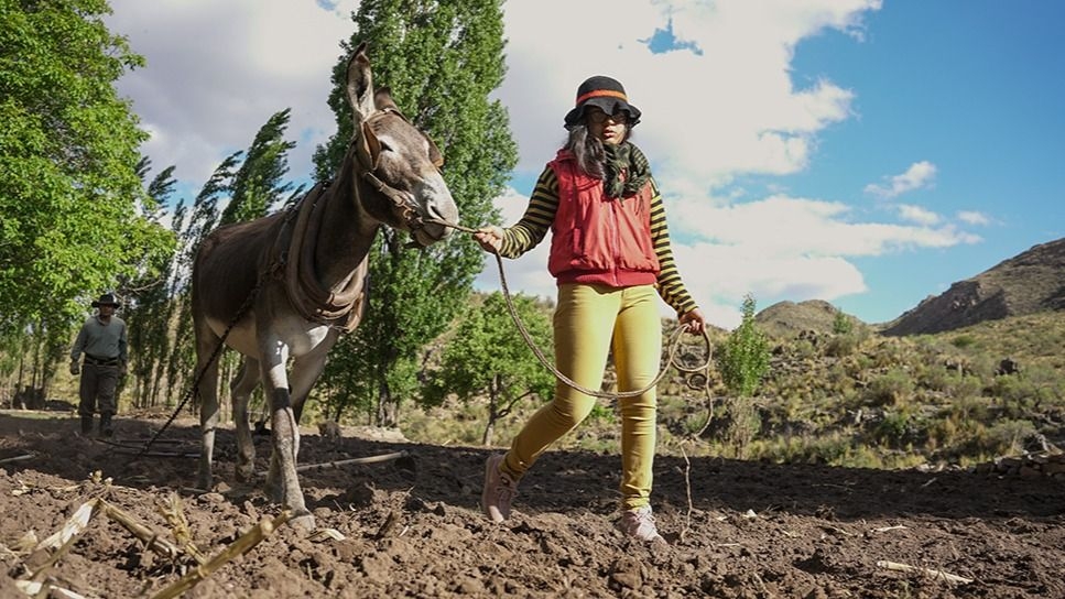 Sierras de Chávez, el último refugio de un estilo de vida en extinción