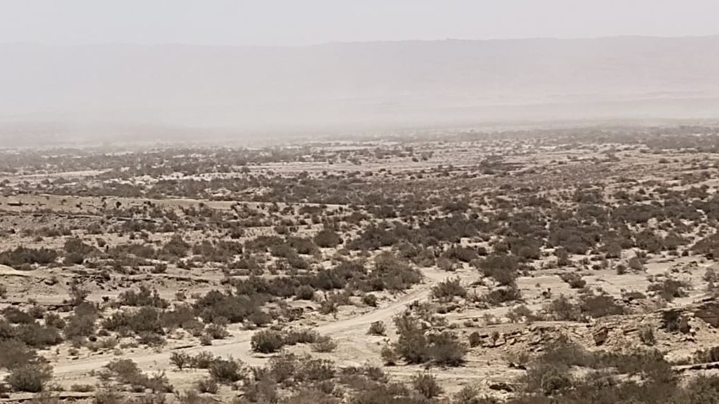Cuál es el estado de las rutas de San Juan por el viento Zonda