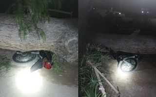 Por el viento, un árbol cayó encima de una moto y casi termina en tragedia